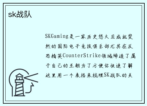 sk战队